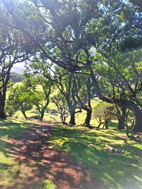 Private Madeira Highlights Full Day Tour - Véu da Noiva viewpoint: the waterfall moment