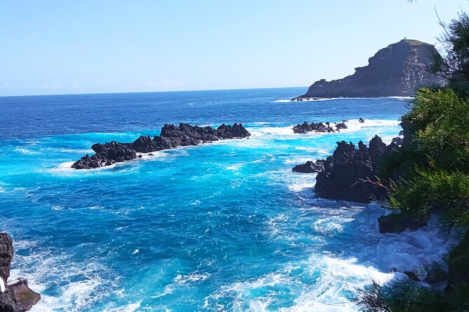 Private Madeira Island Tour: The Most Complete 8-Hour Experience - Price and Value, What Your Money Actually Buys