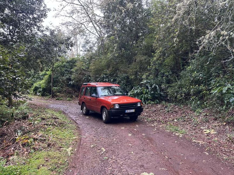 Private Madeira Nature Jeep Tour: Interior and North Coast - Key things I’d plan around