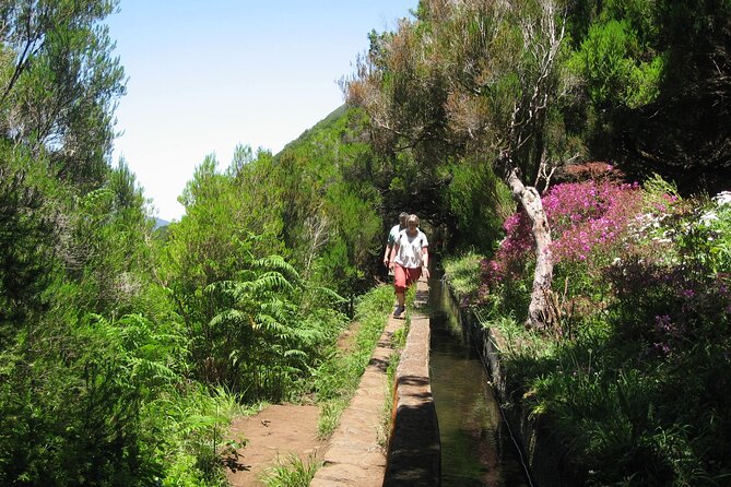 Private Madeira tour 8 people - A Private Madeira Day Out of Funchal, Built for Flexibility