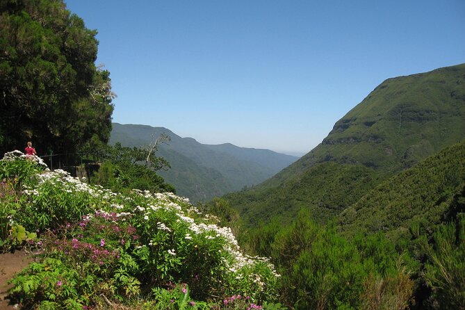 Private Madeira tour 8 people - Comfort and Practicalities Inside the Minivan
