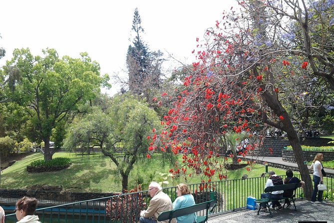 Private Madeira Tour up to 4 people - Stop 1 in Funchal: how a guide transforms the drive into a story