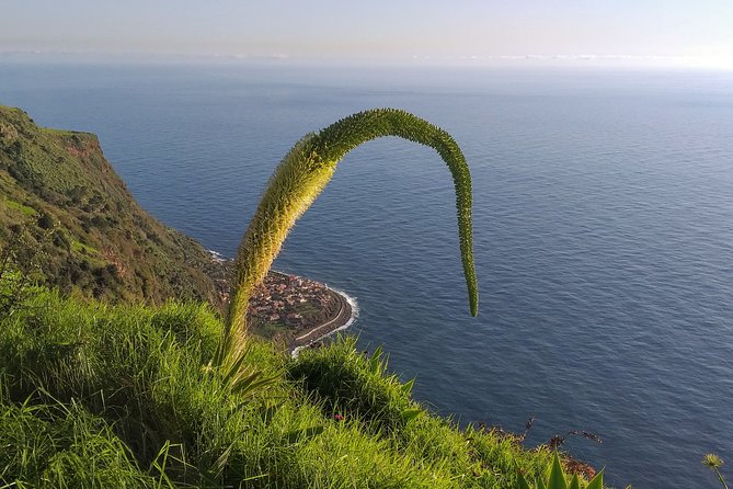 Private Madeira Tour up to 4 people - What’s included, what isn’t: the money math that keeps surprises away