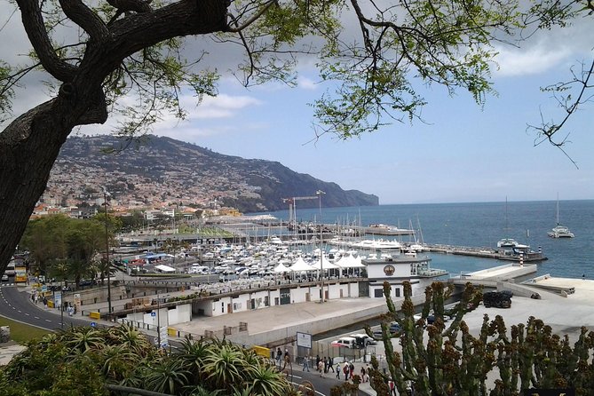 Private Madeira Tour up to 4 people - Pickup in Funchal: the easiest start you can ask for
