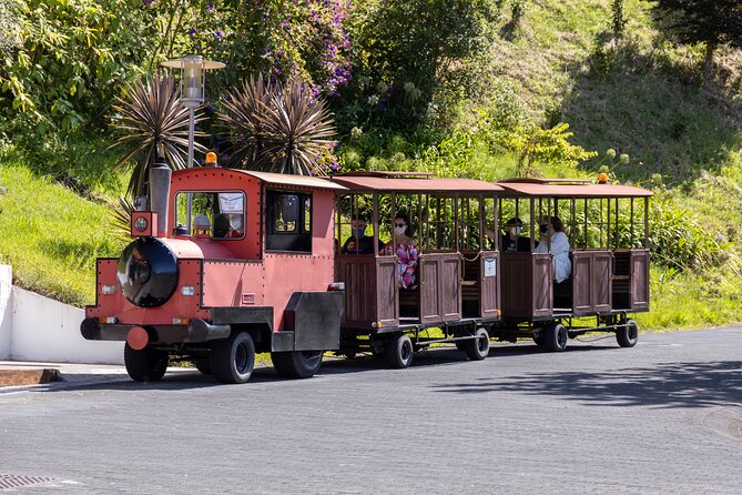 Private Service Madeira Theme Park Visit - Santana - Tour flow: what the day feels like from pickup to drop-off