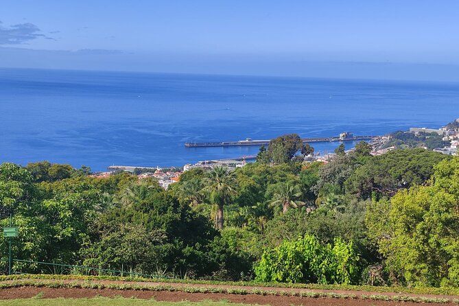 Private Sidecar Tour – Downtown Funchal for 1 or 2 People - Miradouro do Pináculo: More City, More Ocean