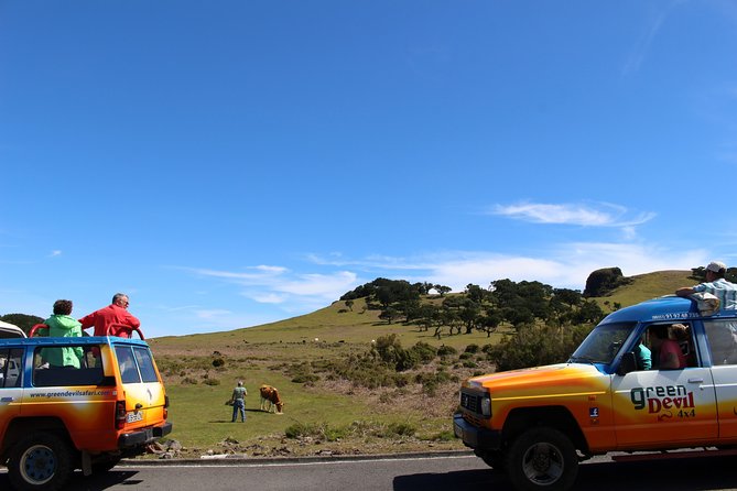 Private Small Group Full Day 4x4 Tour in Northwest Madeira - Stop by stop: Serra de Agua, Encumeada, and the north coast rhythm