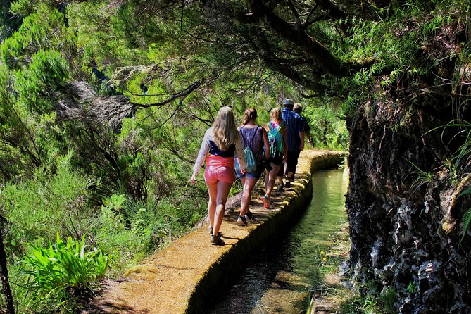 Private Small Group Full Day 4x4 Tour in Northwest Madeira - How the guides tend to shape the day (and why it matters)