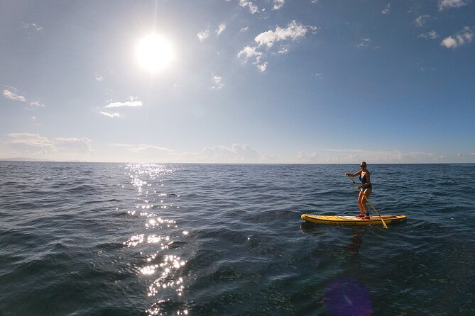 Private Stand Up Paddle Tour in Câmara de Lobos - Price and Timing: Is $66.40 Good Value?