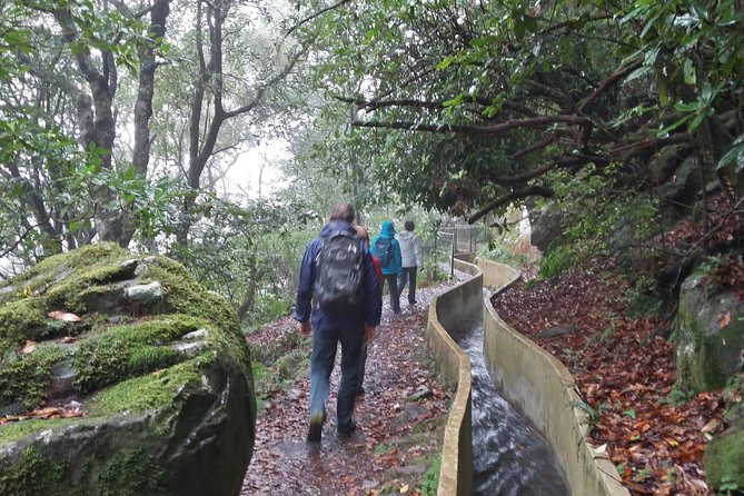 Private Sunrise Guided hike on Pico do Areeiro or other custom - How the Walk Is Split Into Several Personalized Stops