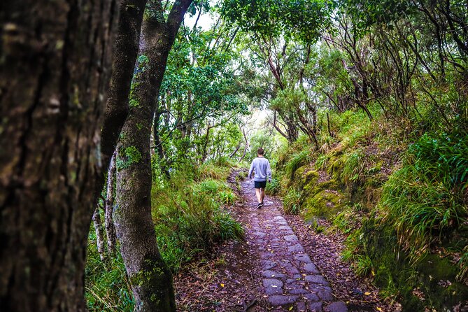 Private Sunrise Pico do Areeiro Half Day with easy levada walk - Balcões de Ribeiro Frio: more viewpoint time, still low stress