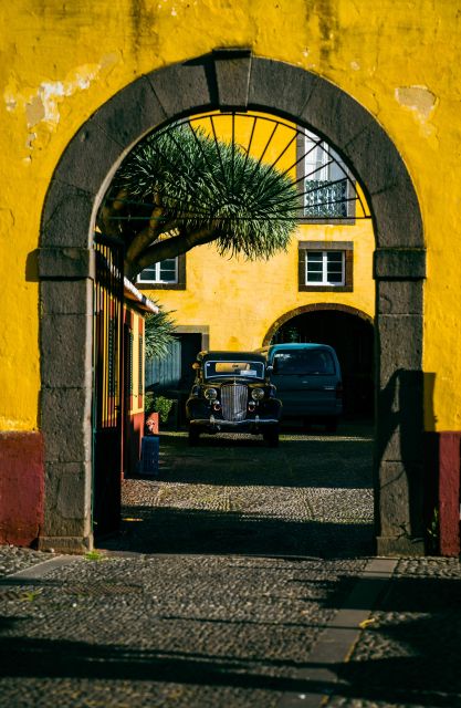 Private Tour:Historical Old Town 1-Hour Tour by Tuk Tuk - São Pedro North of the Cathedral: Straight to the Story