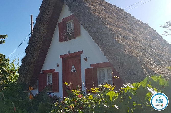 Private Tour North Madeira - Why North Madeira by Private Car Feels Easier (and More Worth It)