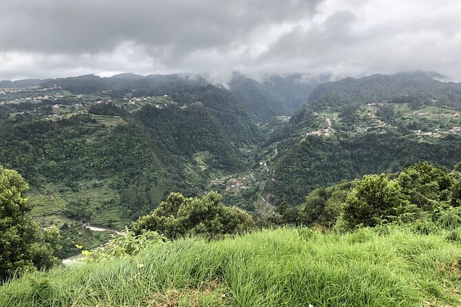 Private Tour North Madeira - Price and Value: What $216.86 Gets You for Up to 2