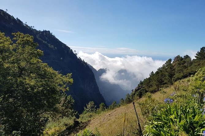 Private Tour Nun's Valley Halfday - Stop 2: Miradouro Pico dos Barcelos for City Views and Photos