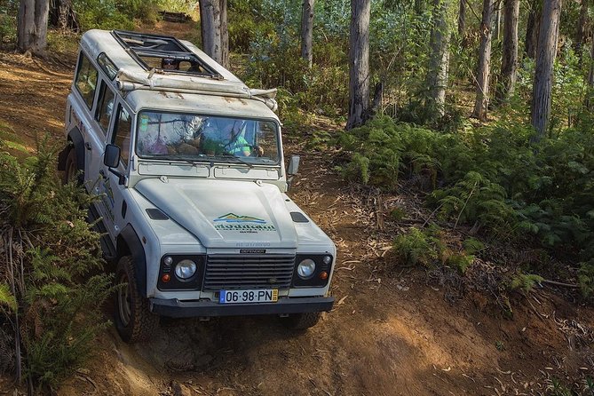 Private Tour: Nun's Valley & Sea Cliff - Half Day Jeep Tour - Key highlights you should care about