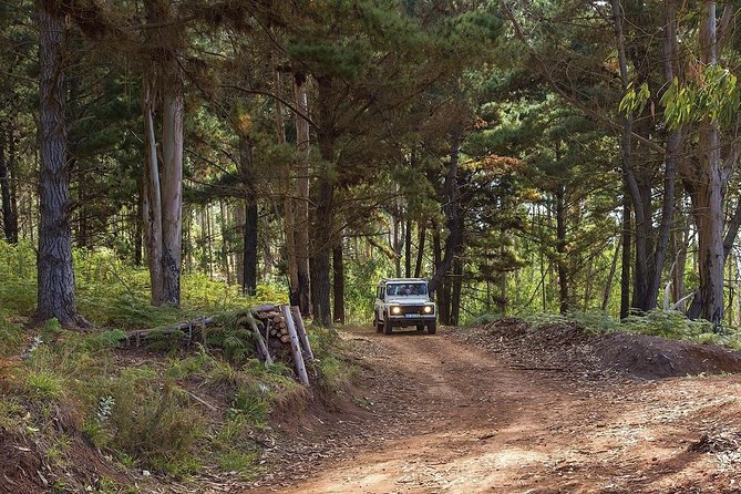 Private Tour: Nun's Valley & Sea Cliff - Half Day Jeep Tour - A tight 4-hour plan that makes sense in Madeira