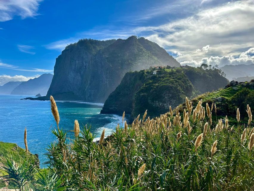 Private Tour on Madeira Island - Price and value: $471 for up to 4 people