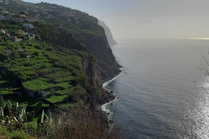 Private Tour South Madeira - Stop One: Ponta do Sol for a Quick Coast-First Look