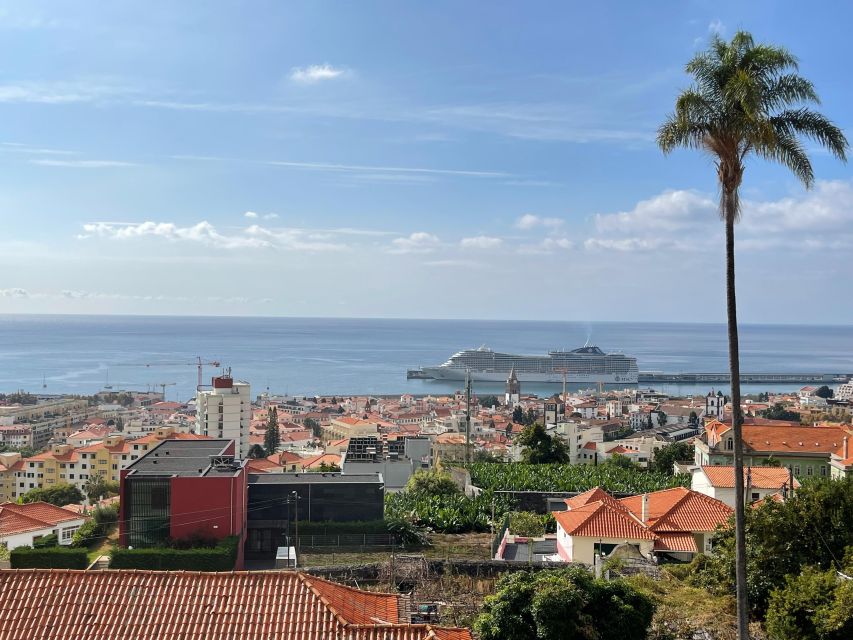 Private tour: Special views/seaside view points - Key moments that make this tuk-tuk route worth it