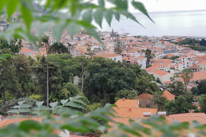 Private Tuk Tuk Tour to Old Town + Monte in Funchal - Why the tuk tuk works so well in Funchal