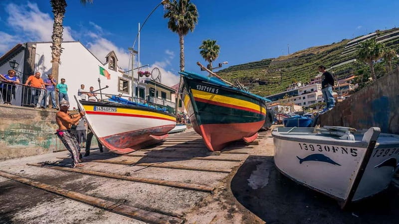Private Vespa Tour Funchal & Câmara Lobos (3hrs) - Price and value for $90 per person, what you actually buy