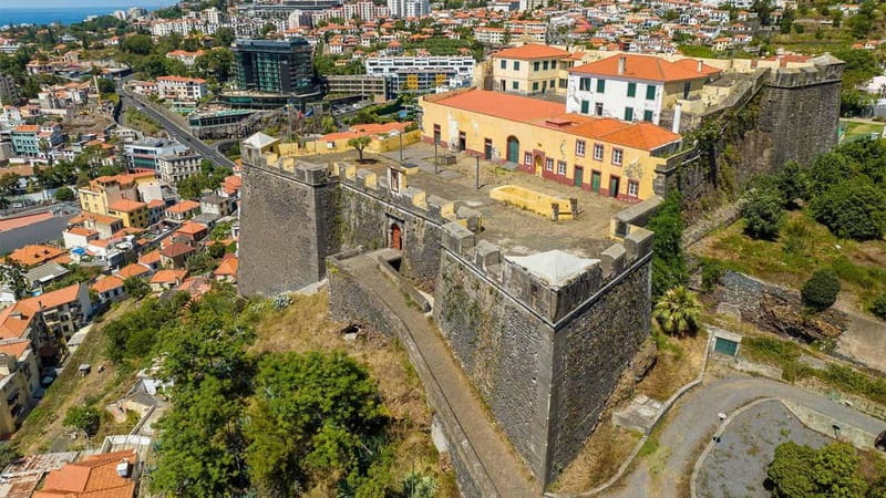 Private Vespa Tour Funchal & Câmara Lobos (3hrs) - Before you go: the scooter experience requirement is real