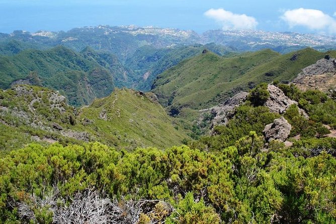 Private Walk Achadas Teixeira - Pico Ruivo Half-day - The half-day rhythm: how 4 hours can feel just right