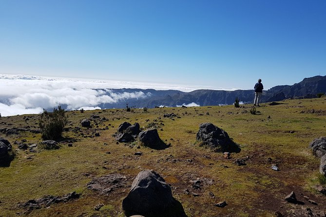 Private Walk Achadas Teixeira - Pico Ruivo Half-day - Pickup across Madeira, private transport, and the small comforts that matter