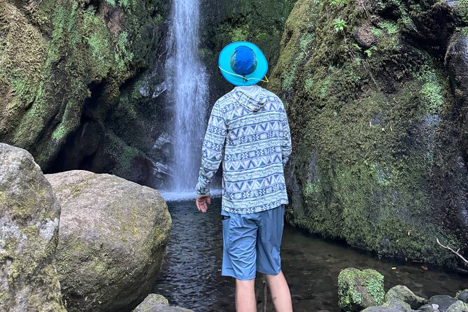 Private Waterfall Hiking in Madeira 4 Spectacular Waterfalls - Key Highlights You’ll Actually Feel on the Hike