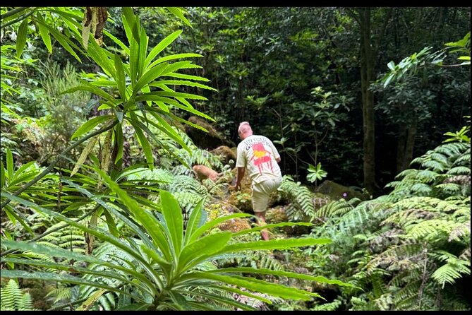 Private Waterfall Hiking in Madeira 4 Spectacular Waterfalls - Stop 3, 25 Fontes and Cascada da Risco: Iconic Madeira in One Hour