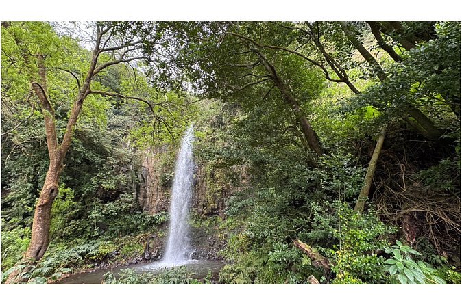 Private Waterfall Hiking in Madeira 4 Spectacular Waterfalls - Stop 4, Ponta Delgada: A Wild, Dramatic Finale