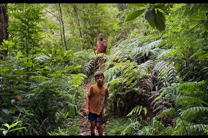 Private Waterfall Hiking in Madeira 4 Spectacular Waterfalls - What the Moderate Fitness Requirement Means in Plain Terms