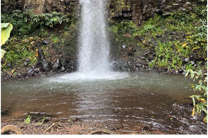 Private Waterfall Hiking in Madeira 4 Spectacular Waterfalls - Stop 1, Aguage Waterfall: A Gentle Start With Real Nature Calm