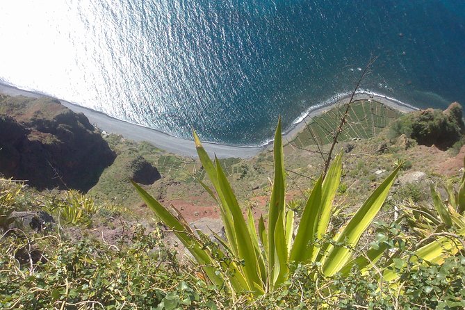 Private Waterfalls and Fanal Forest Tour - A Private Madeira West Day That Feels Like a Best-Of Trip