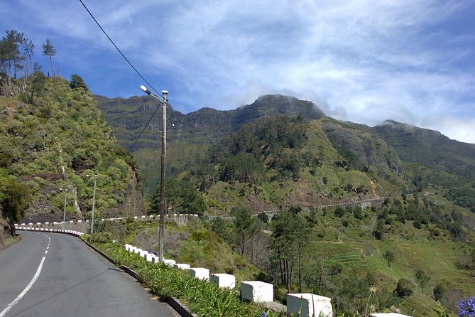 Private Waterfalls and Fanal Forest Tour - Stop 4: Ponta do Sol, the Sunniest Spot and a Banana Valley Feel