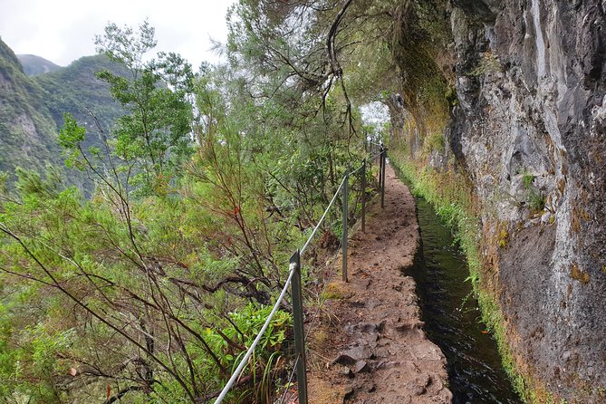 Queimadas-Caldeirão Verde - Into The Laurissilva: Why This Hike Works