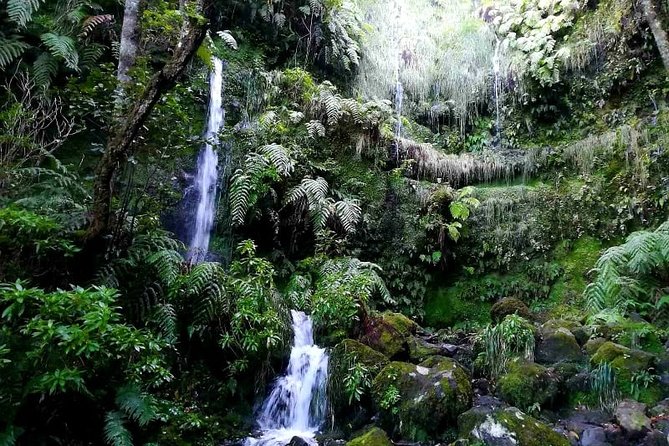 Queimadas-Caldeirão Verde - Getting There From Funchal: Pickup and Transfers That Save Time