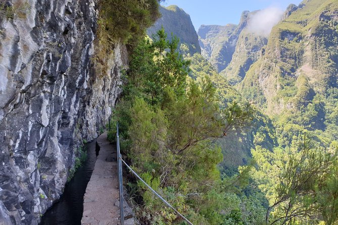 Queimadas-Caldeirão Verde - The 13 Km Walk Through Madeira’s Forest