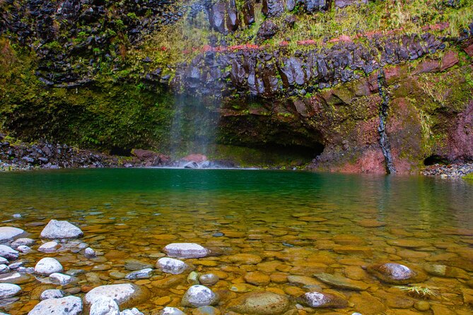Rabaçal 25 Fontes and Risco Hike with Local Host - Rabaçal, Madeira’s UNESCO Laurissilva Forest: what you’re really paying for