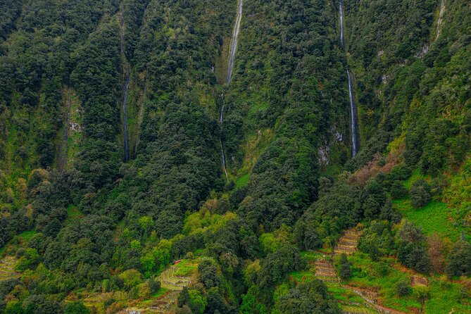 Rabaçal 25 Fontes and Risco Hike with Local Host - Levadas, cliffs, and views: what the walking is like in real life