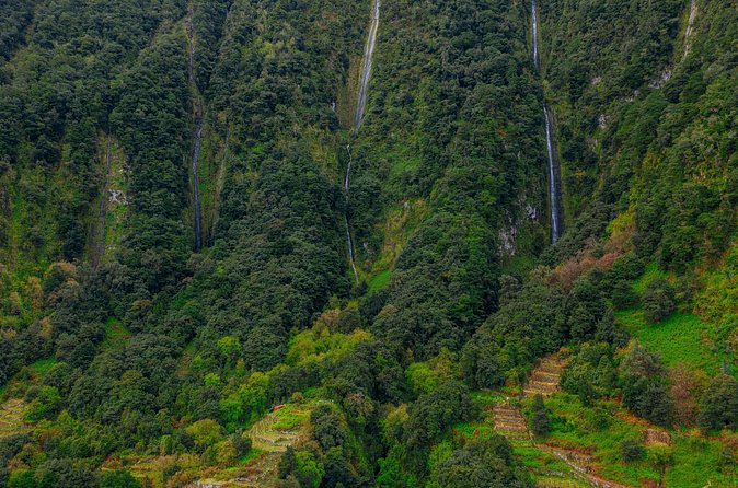 Rabaçal 25 Fontes and Risco Hike with Local Host - Price and value: what $48.39 covers, and the €3 government fee to plan for