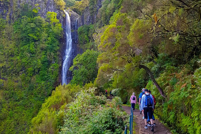 Rabaçal 25 Fontes Levada Walk in Small Groups - Why Rabaçal and 25 Fontes is a standout levada day