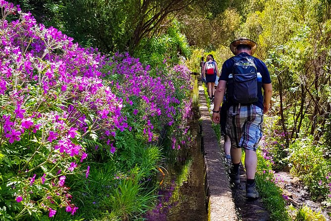 Rabaçal 25 Fontes Levada Walk in Small Groups - The tunnel segment: torch tips and how to avoid a miserable surprise