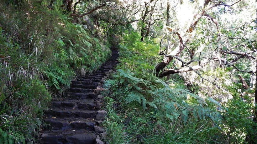 Rabaçal: 25 Fontes & Risco Levada Hiking Transfer - Key things I’d circle before you go
