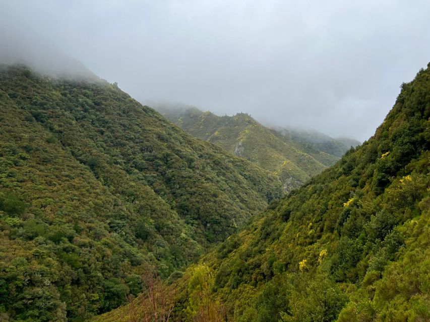 Rabaçal: 25 Fontes & Risco Levada Hiking Transfer - Your 5-hour window for 25 Fontes and Risco Levada