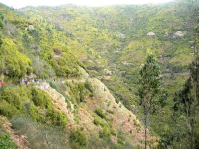 25 Fontes & Risco Levada Hiking Transfer