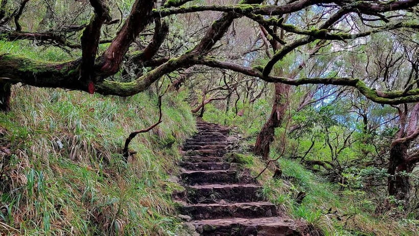 Rabaçal: 25 Fontes & Risco Levada Hiking Transfer - Following PR6 to 25 Fontes, then taking the PR6.1 spur to Risco