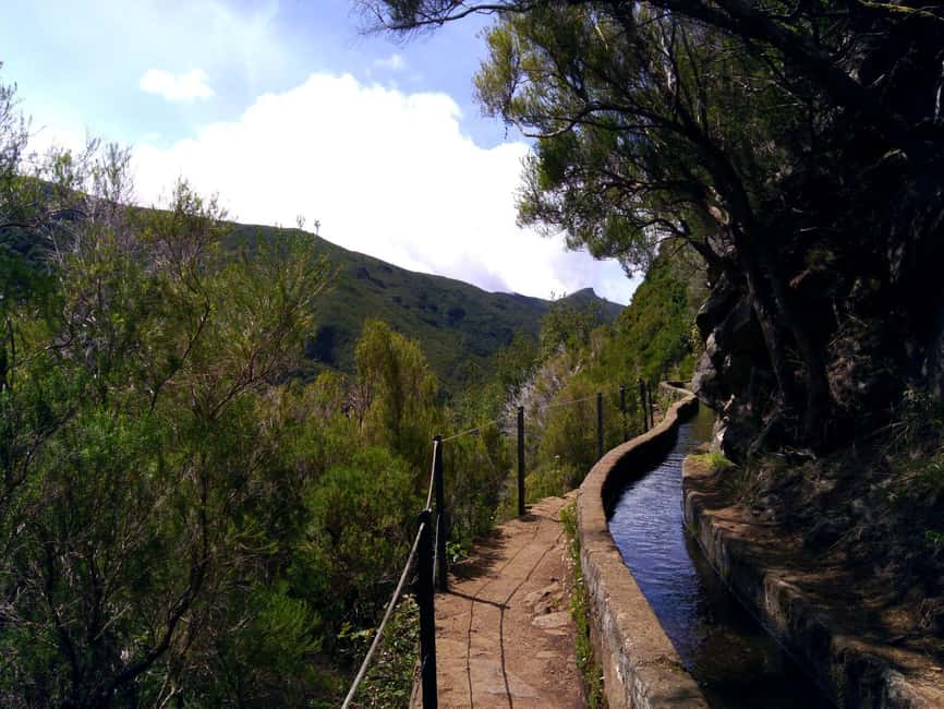 Rabaçal: 25 Fontes & Risco Levada Hiking Transfer - Laurissilva forest mood, waterfall views, and where crowds thin out