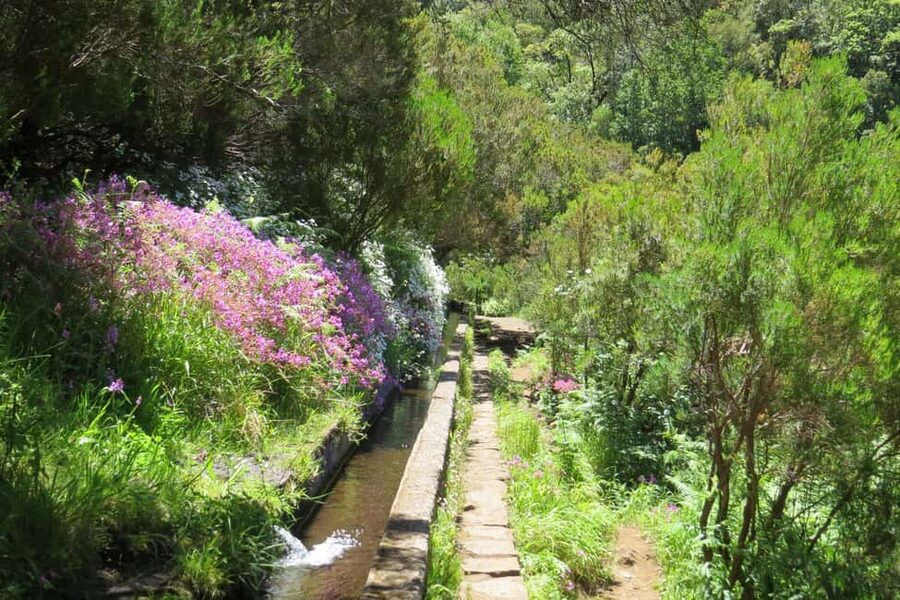 Rabaçal: 25 Fontes & Risco Levada Hiking Transfer - Realistic difficulty: stairs, slick rock, and pacing with a 10 km route